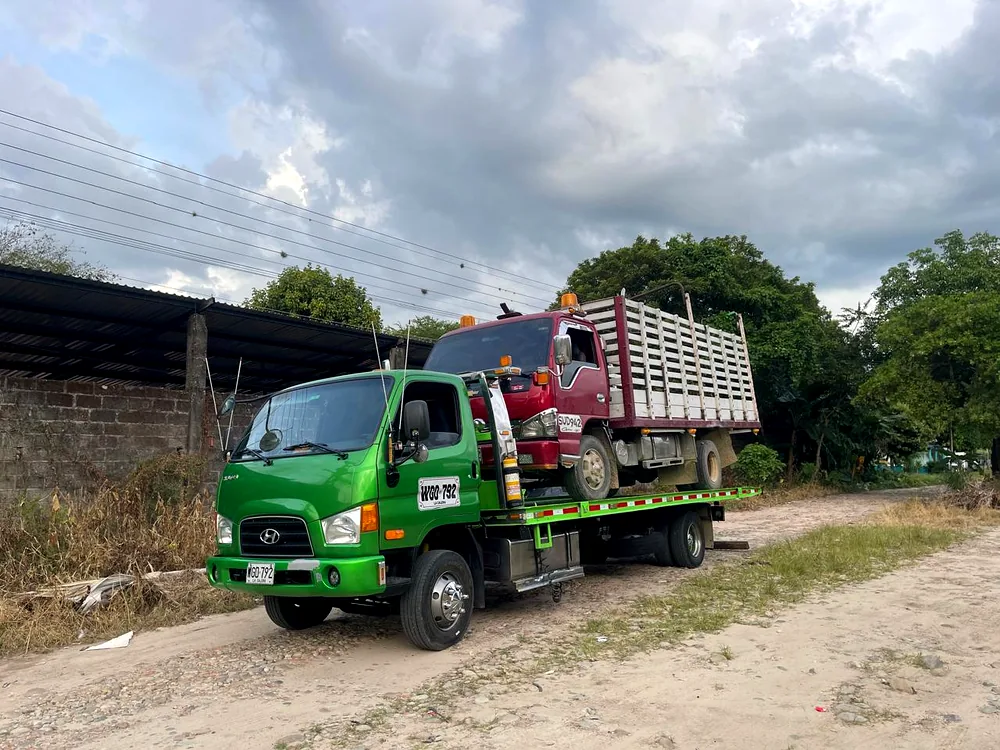 Grúa atendiendo un camión en zona rural